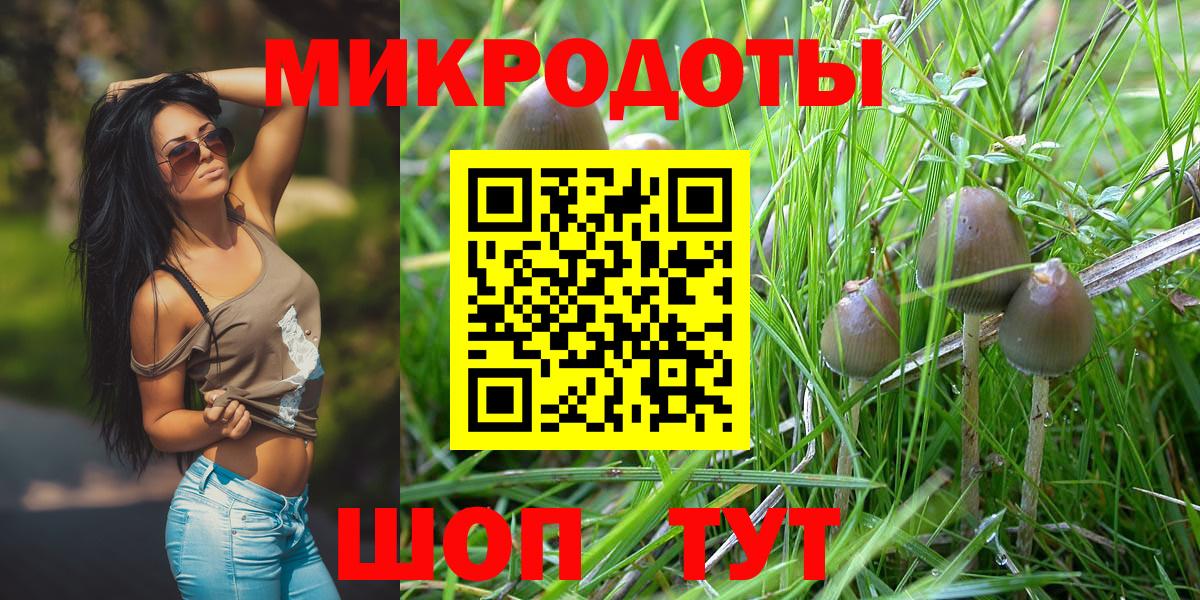 Находка  Псилоцибиновые грибы Psilocybine cubensis  купить наркотики сайты  Вход с VPN 